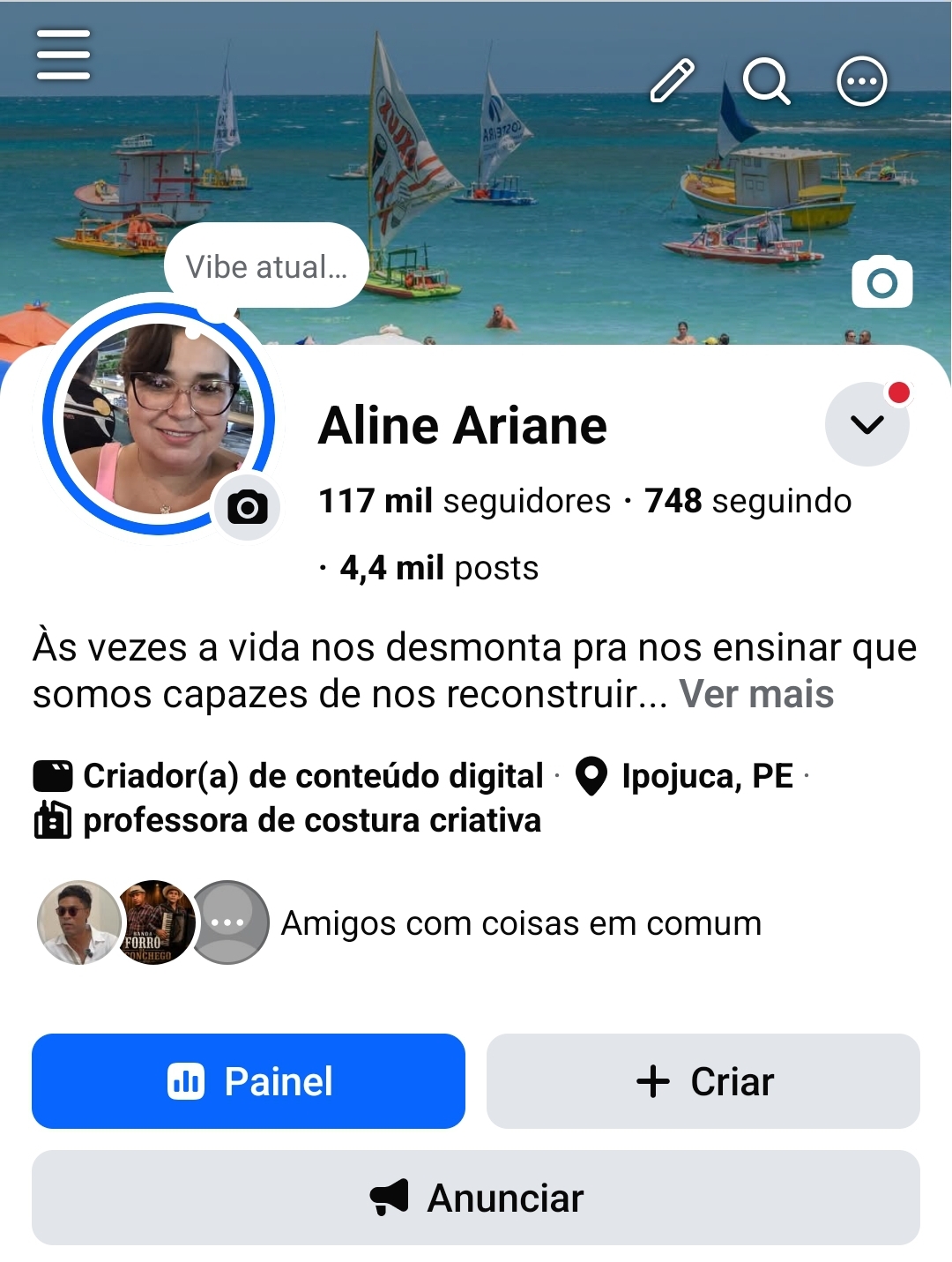 117 mil seguidores